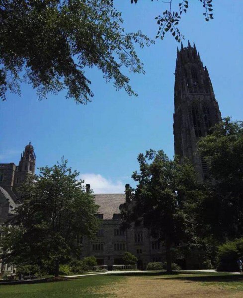 中国最认可的美国大学名单