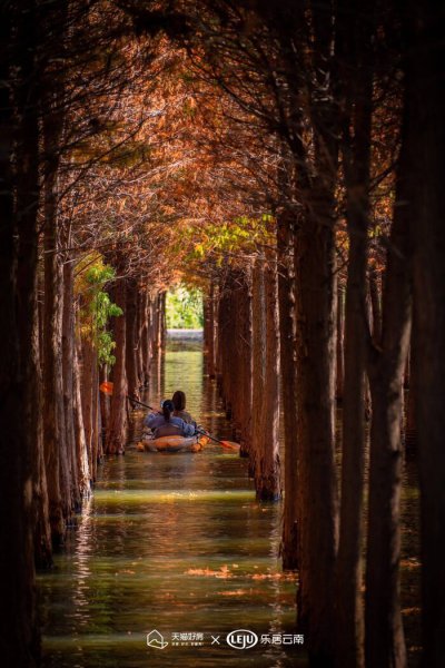 昆明哪个区居住最好
