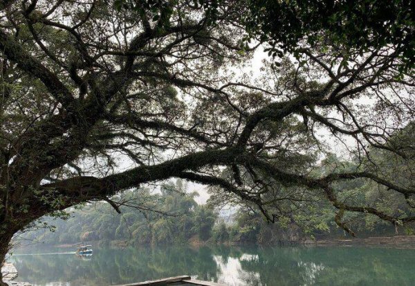 柳州旅游必去十大景点