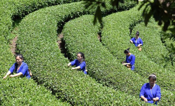 柳州旅游必去十大景点