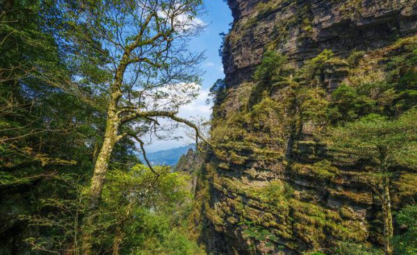 柳州旅游必去十大景点