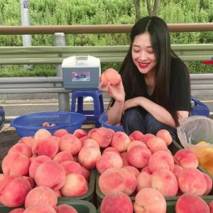 雪莉为什么结束自己的生命 雪莉生前到底经历什么悲痛欲绝