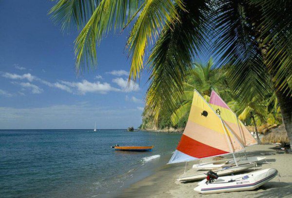 美洲有哪些国家组成