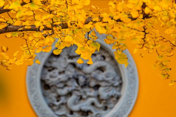 杭州景点最好玩的排名