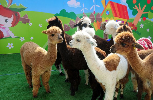 杭州景点最好玩的排名