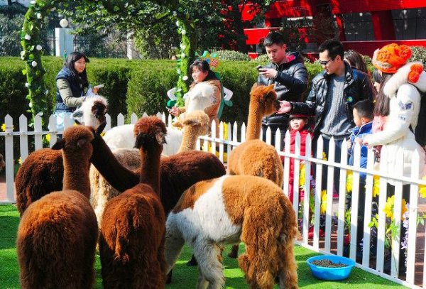 杭州景点最好玩的排名