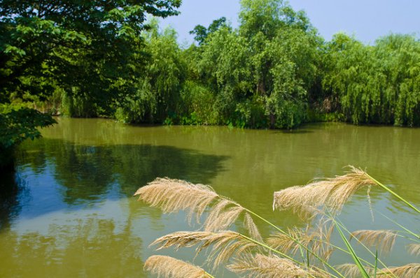 杭州景点最好玩的排名