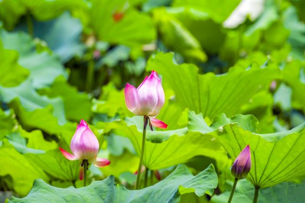 杭州景点最好玩的排名