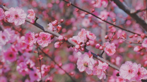 杭州景点最好玩的排名