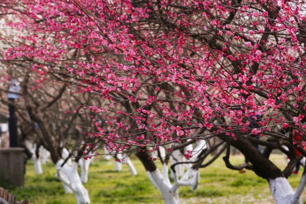 杭州景点最好玩的排名