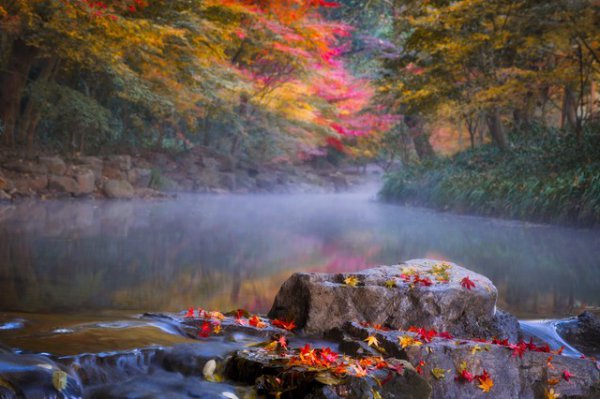 杭州景点最好玩的排名