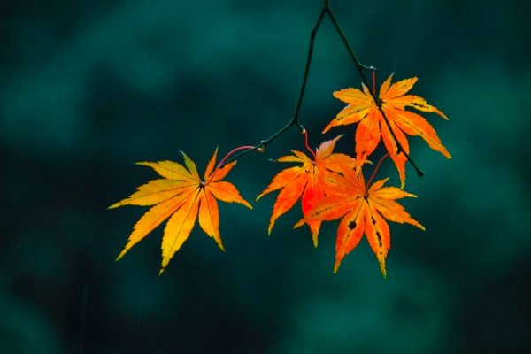 杭州景点最好玩的排名