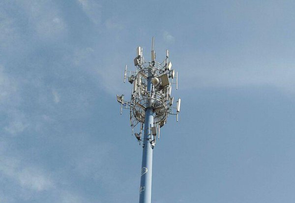 为什么网络满格却很卡