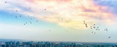 渭南市有几个区几个县 陕西渭南市管辖的区县介绍