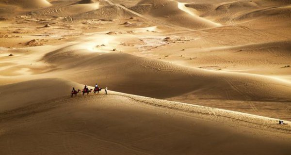 唐代诗人有哪些