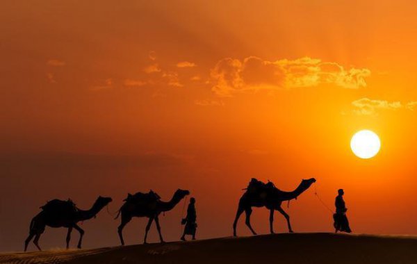 唐代诗人有哪些