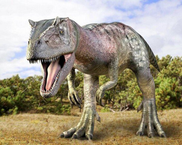 世界上最厉害的恐龙排行榜