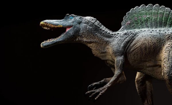 世界上最厉害的恐龙排行榜