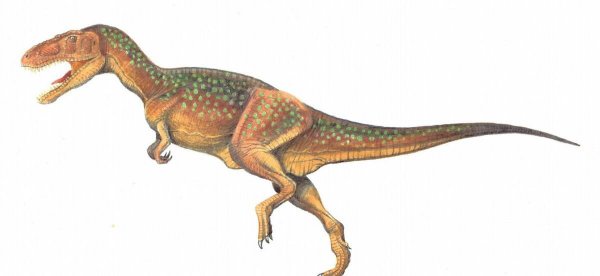 世界上最厉害的恐龙排行榜