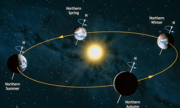 上一个冰川时期是什么时候