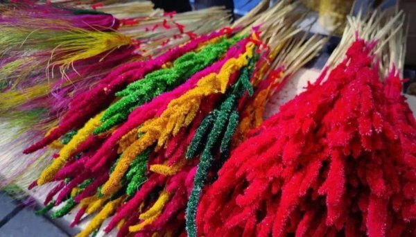 藏历新年是哪一天哪里的节日