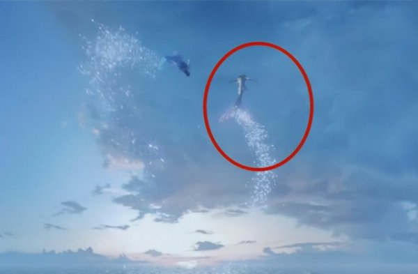 与君初相识结局是好是坏