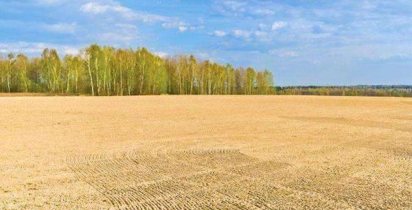 铁器什么时候出现