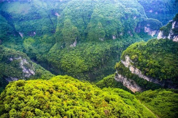 重庆的旅游景点有哪些