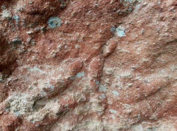 元谋人距今多少年