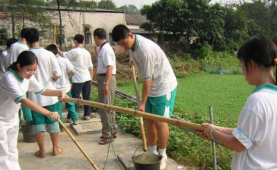 草木灰的主要成分是什么 草木灰主要化学成分是碳酸钾吗