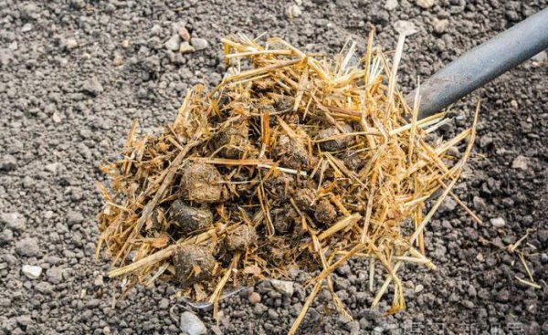 草木灰的主要成分是什么