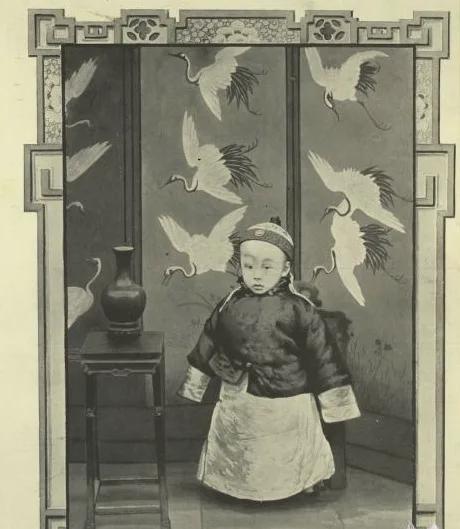 溥仪皇帝个人简历