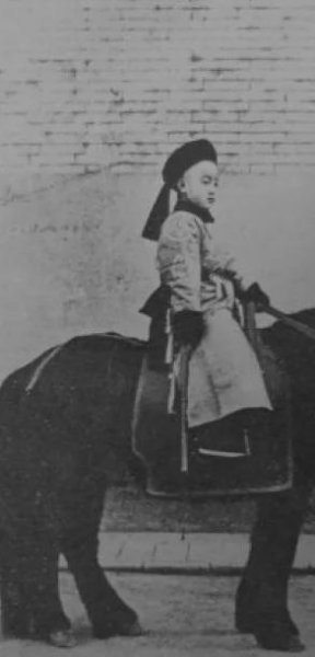 溥仪皇帝个人简历