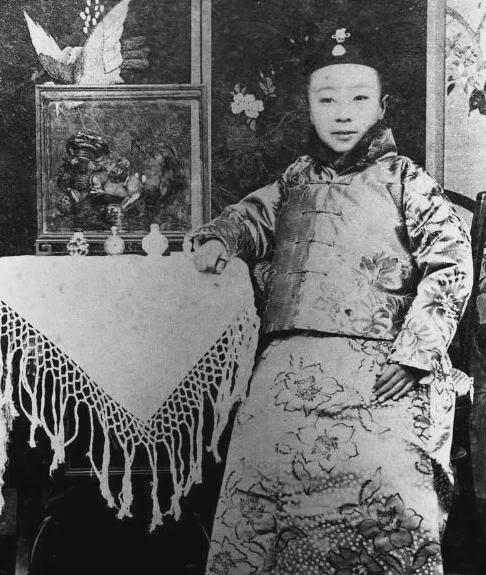 溥仪皇帝个人简历
