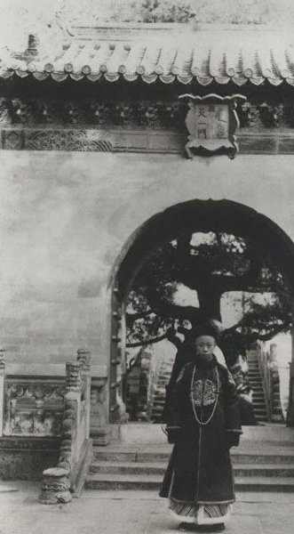 溥仪皇帝个人简历