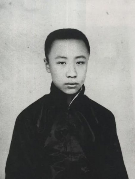 溥仪皇帝个人简历