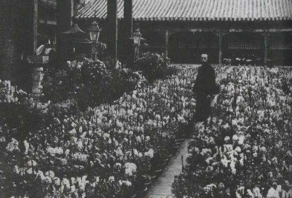 溥仪皇帝个人简历