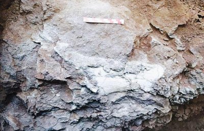 侏罗纪和白垩纪区别 恐龙时代为什么划分侏罗纪和白垩纪