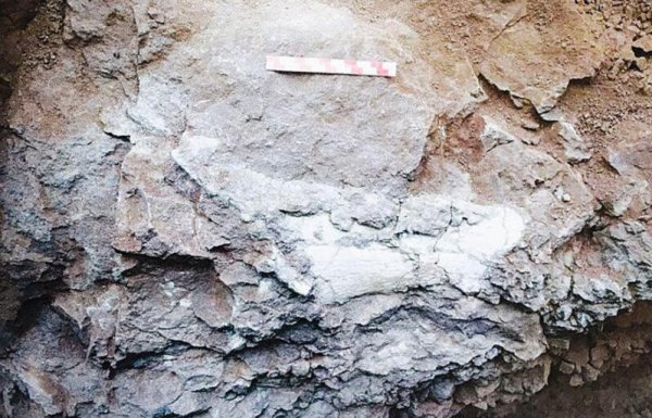 侏罗纪和白垩纪区别