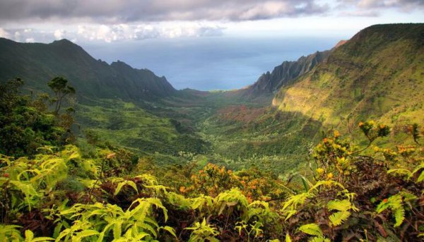 侏罗纪和白垩纪区别