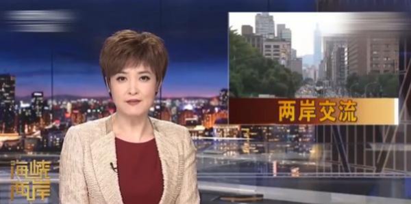 桑晨简历及个人资料简介