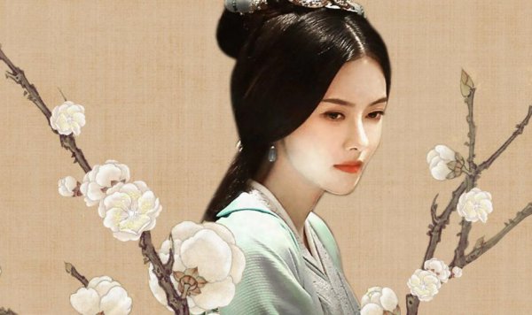 评价甄宓的一生幸福吗