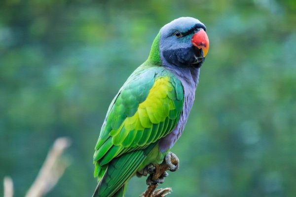 罗隐最著名诗10首介绍