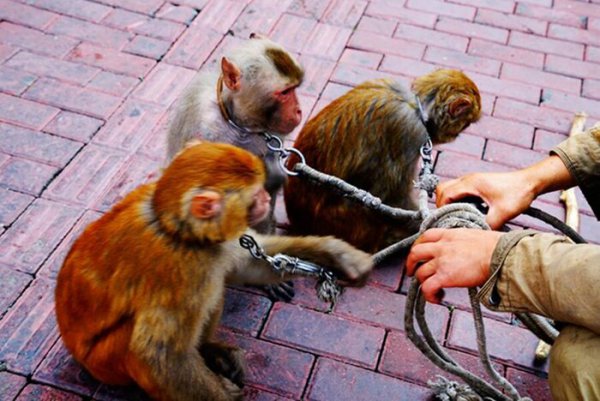 罗隐最著名诗10首介绍