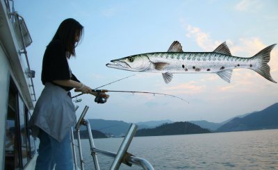 钓梭鱼用什么饵最好 海钓梭鱼选择打窝的最佳饵料