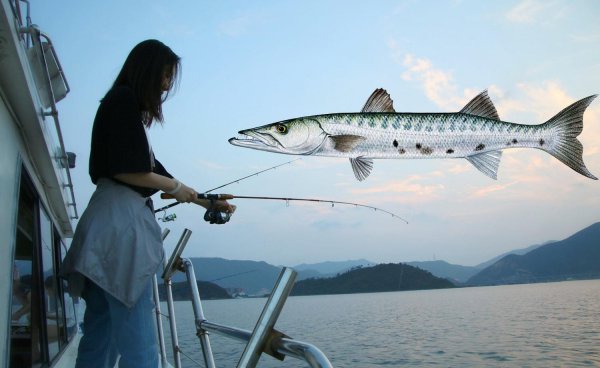 钓梭鱼用什么饵最好