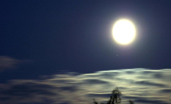 苏轼最后一首诗是什么