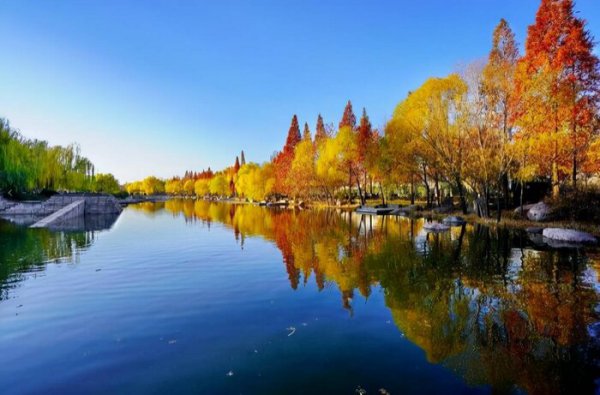 郑州大学排名全国第几位