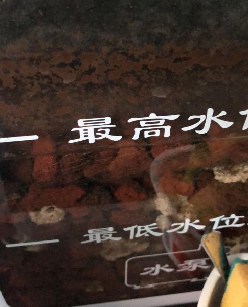 新手第一次养鱼需要注意哪些