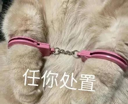 法国巴黎大学怎么样